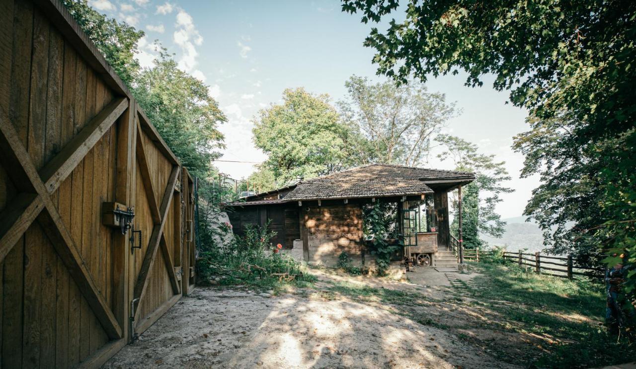 Wine Space Ambrolauri Dış mekan fotoğraf