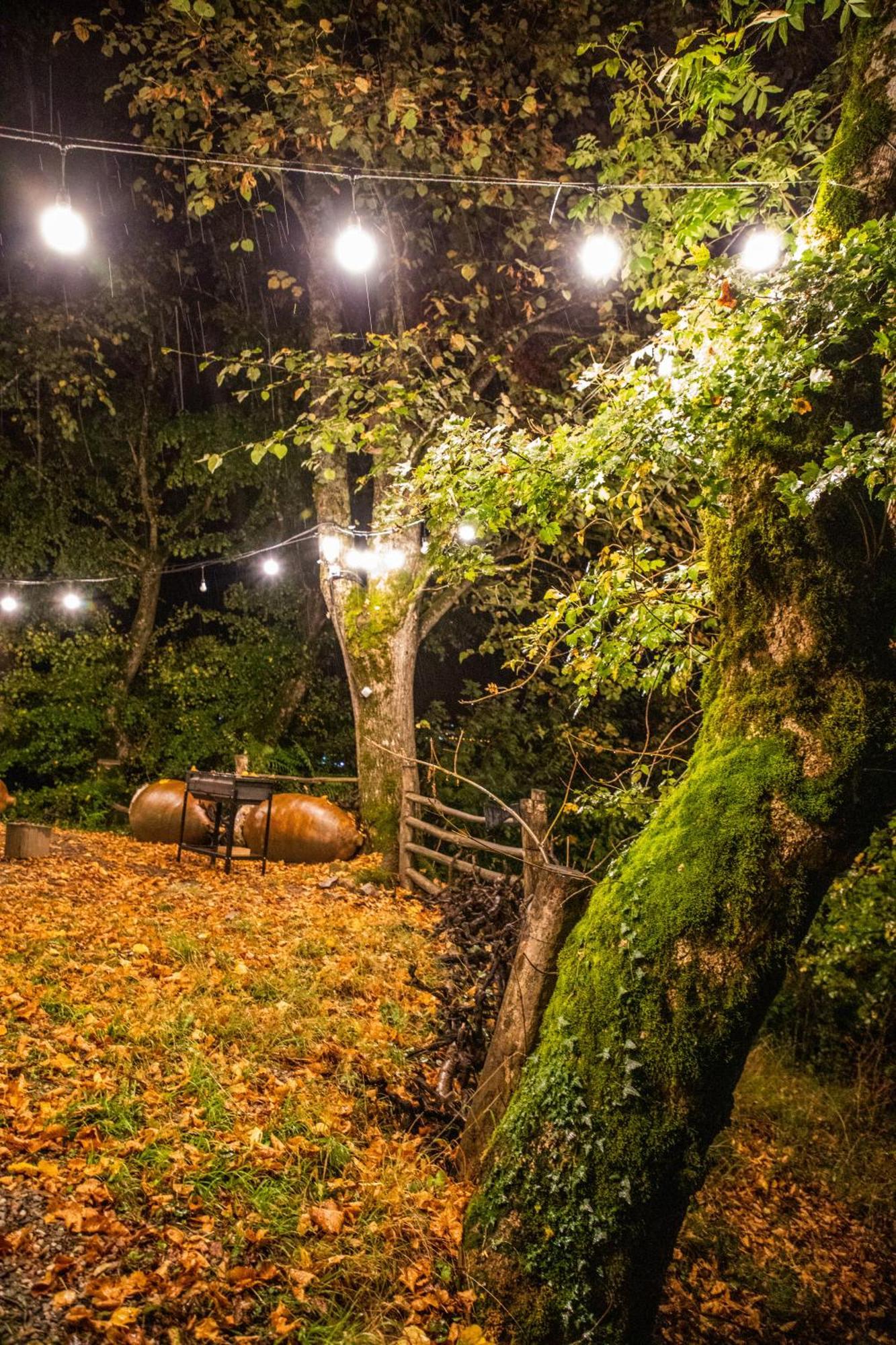 Wine Space Ambrolauri Dış mekan fotoğraf