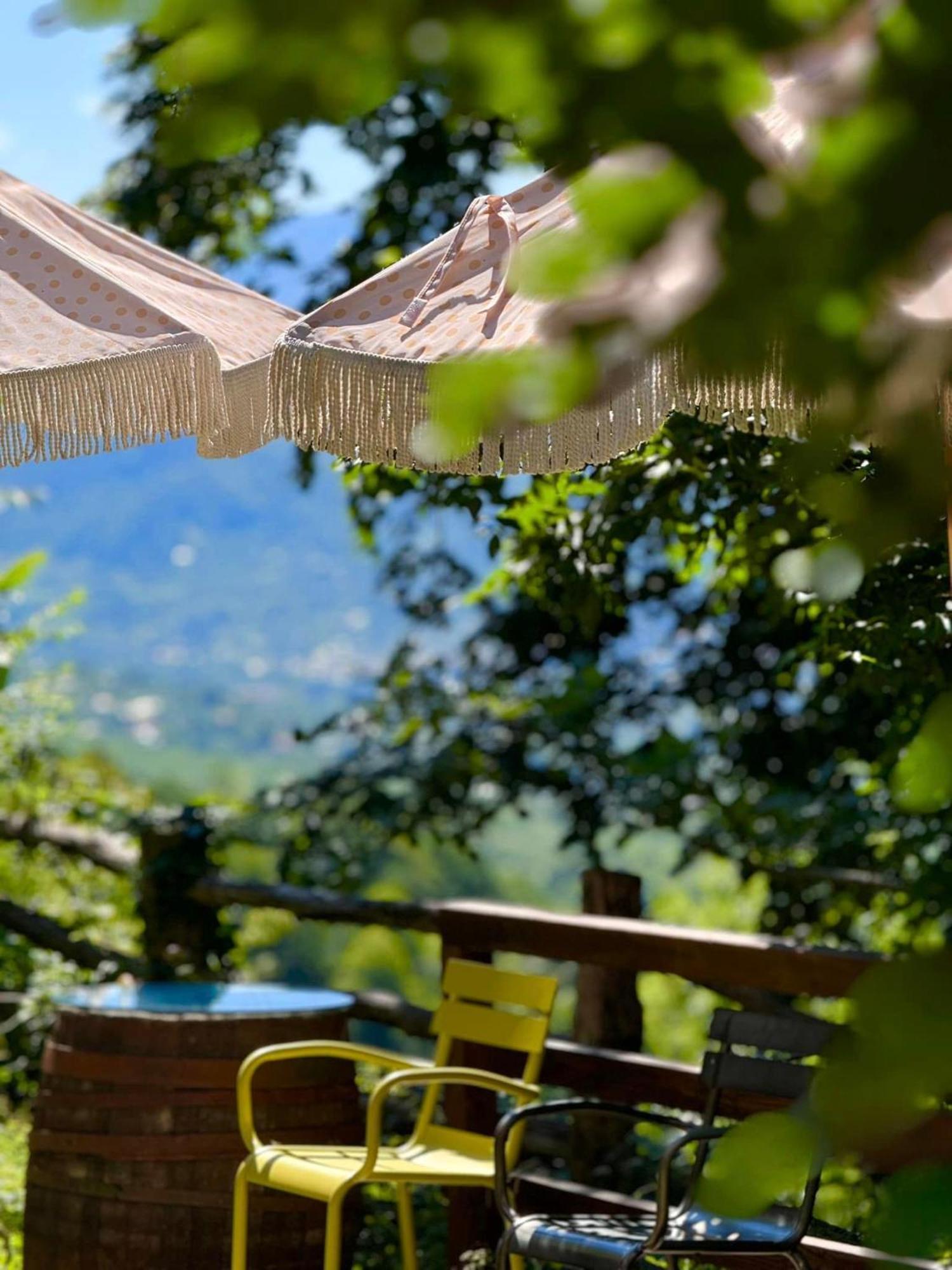 Wine Space Ambrolauri Dış mekan fotoğraf